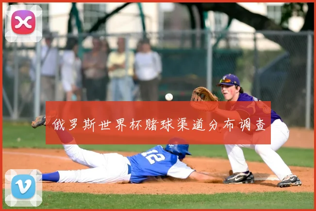 俄罗斯世界杯赌球渠道分布调查