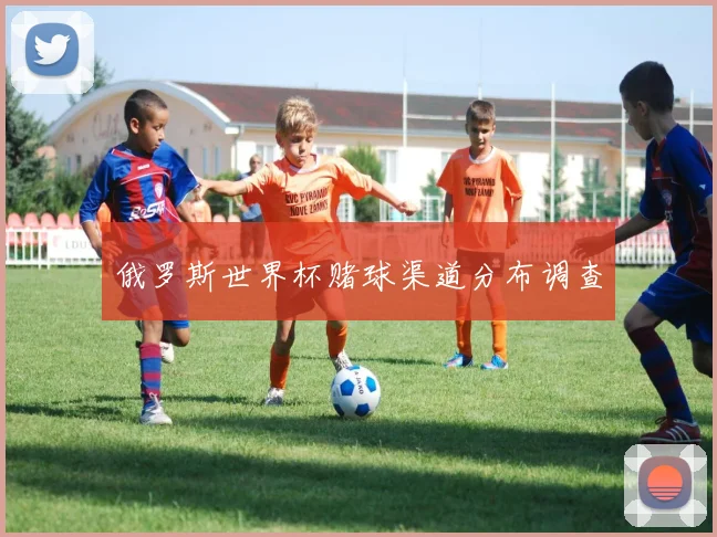俄罗斯世界杯赌球渠道分布调查