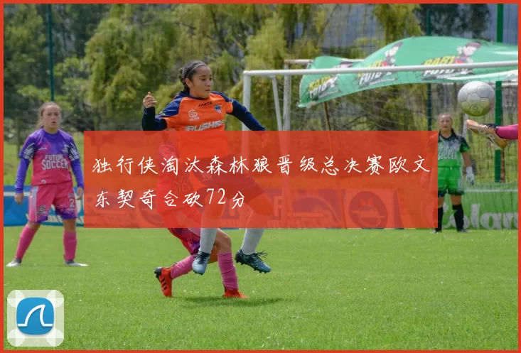 独行侠淘汰森林狼晋级总决赛欧文东契奇合砍72分