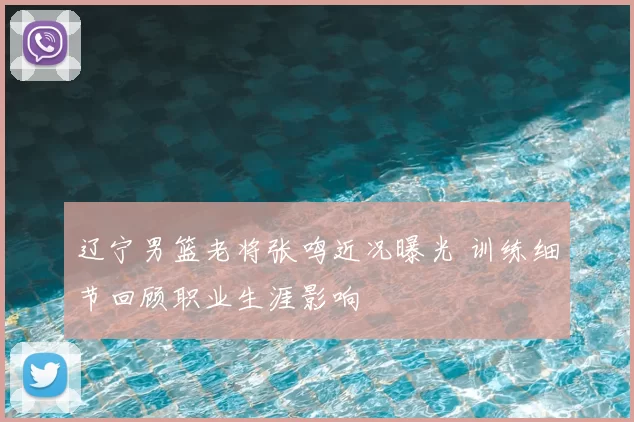 辽宁男篮老将张鸣近况曝光 训练细节回顾职业生涯影响