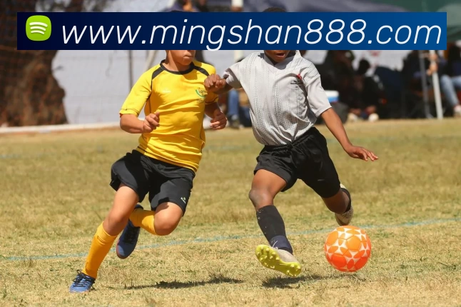 EMC(易倍股份有限公司)易倍·中国大陆 - 官方网站服务体系