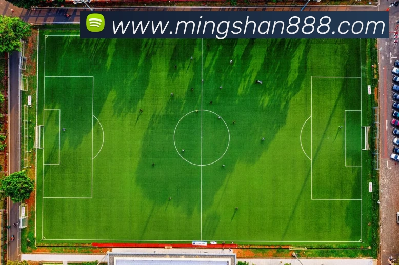 多媒体互动体验